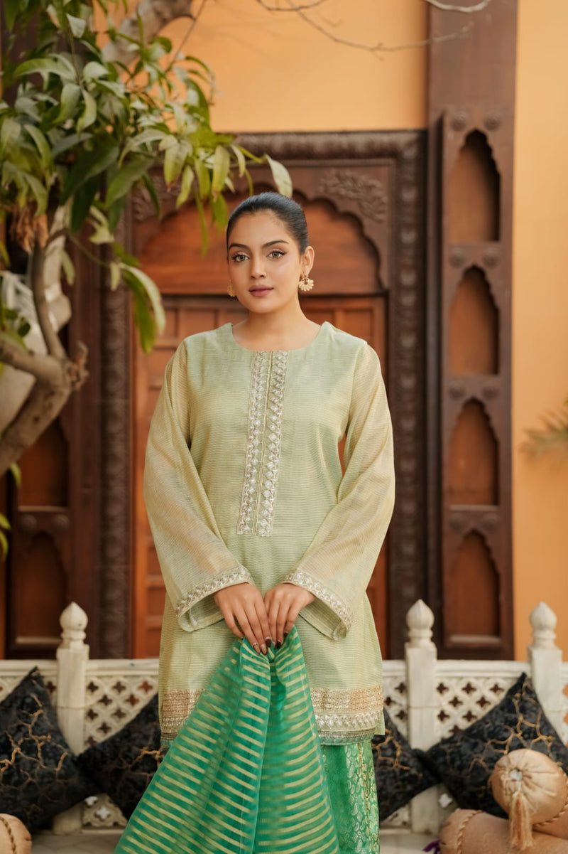 PISTA CHARM (A015) - 3 Piece Summer Cotton Net & Silk Jamawar Sharara