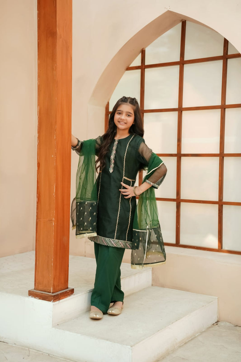 Saghir Charm | Cotton Net & Embroidered Dupatta 3-Piece