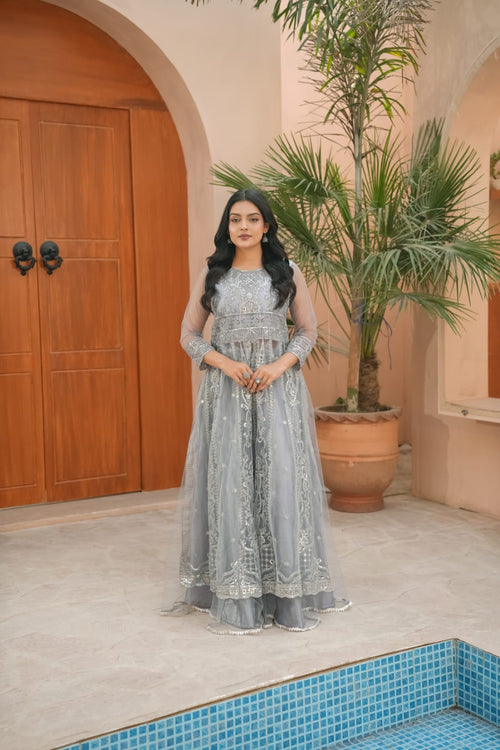 Dhoomil Charm | Heavy Embroidered Net 2-Piece