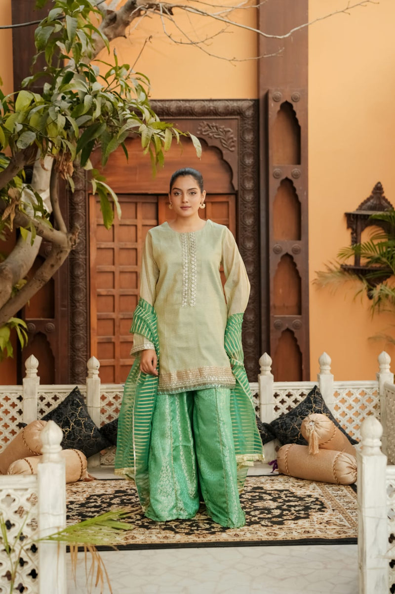 PISTA CHARM (A015) - 3 Piece Summer Cotton Net & Silk Jamawar Sharara